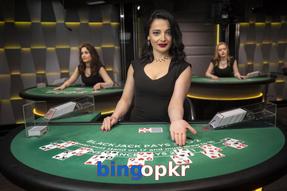 Bingopkr